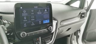 FORD Fiesta usata 66