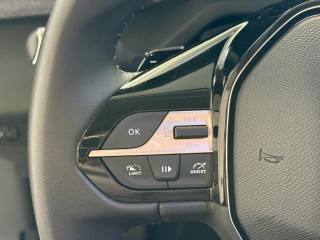 PEUGEOT 308 usata, con Immobilizzatore elettronico