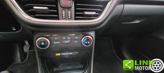 FORD Puma usata, con Cruise Control