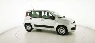 FIAT Panda usata 20