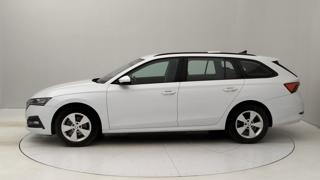 SKODA Octavia usata, con Airbag