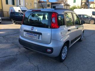 FIAT Panda usata, con Airbag Passeggero