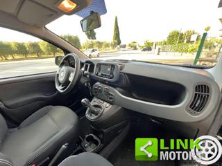 FIAT Panda usata 20