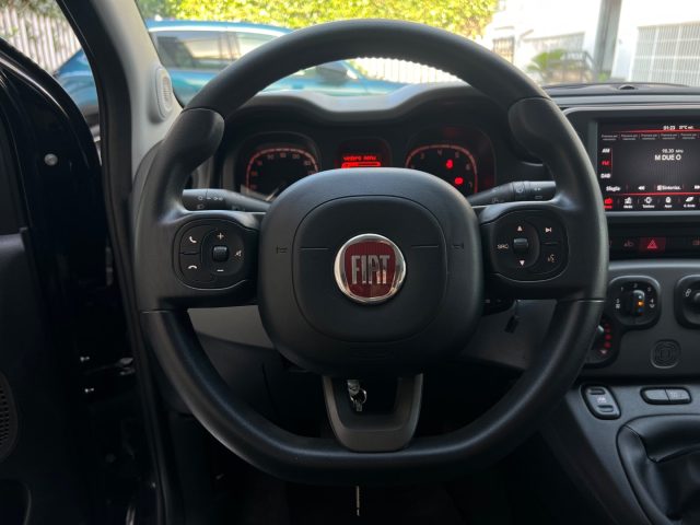 FIAT Panda usata 31