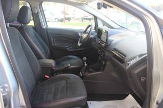 FORD EcoSport usata, con Fendinebbia