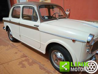 FIAT 1100 usata 6