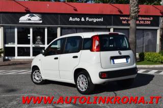 FIAT Panda usata, con Airbag laterali