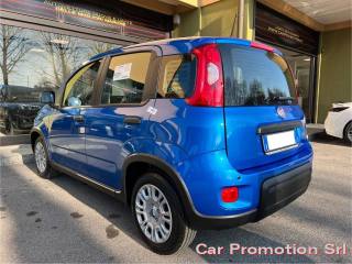 FIAT Panda usata, con Antifurto