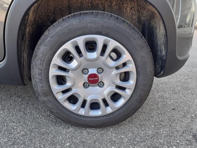 FIAT Panda usata, con Immobilizzatore elettronico