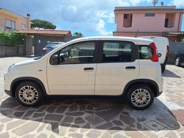 FIAT Panda usata, con Controllo trazione