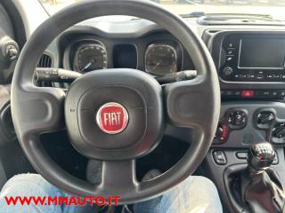 FIAT Panda usata, con Cronologia tagliandi