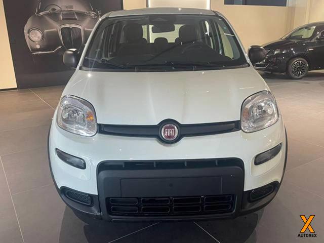 FIAT Panda usata, con Airbag