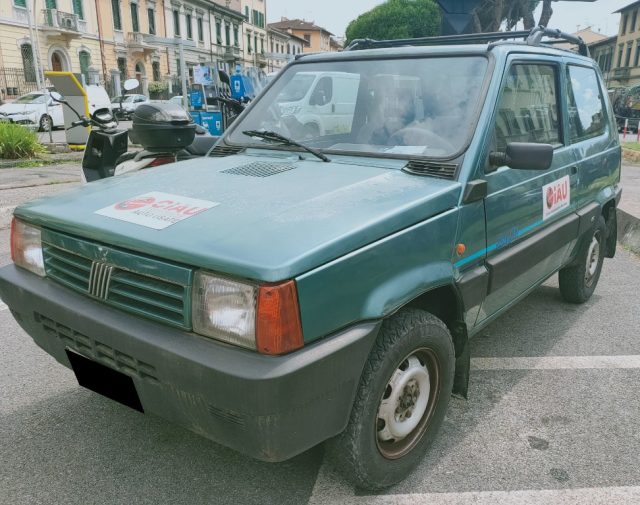 FIAT Panda usata 2