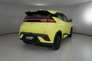 BYD Dolphin usata, con Airbag laterali