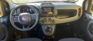 FIAT Panda usata, con Antifurto