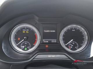 SKODA Octavia usata 12