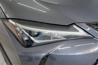LEXUS UX 250h usata, con Specchietti laterali elettrici
