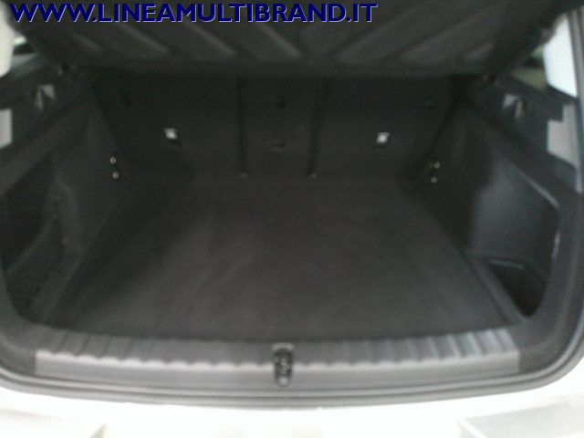 MINI Countryman usata, con Controllo automatico clima