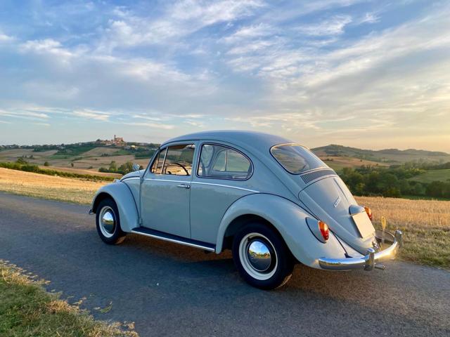 VOLKSWAGEN Maggiolino usata 10