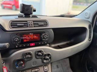 FIAT Panda usata 14