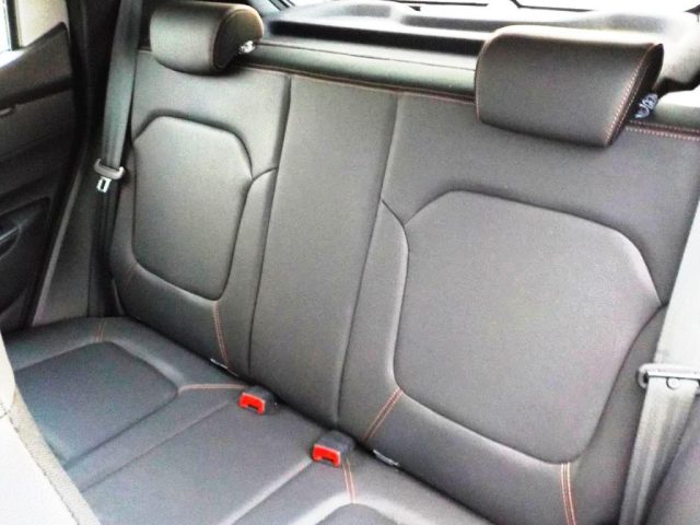 DACIA Spring usata 39