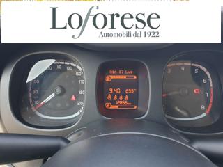 FIAT Panda usata, con Volante multifunzione