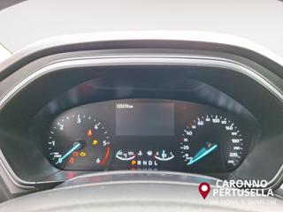 FORD Focus usata, con Fendinebbia