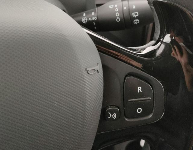 RENAULT Captur usata, con Filtro antiparticolato