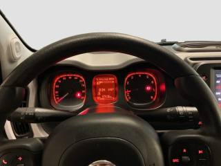 FIAT Panda usata 13