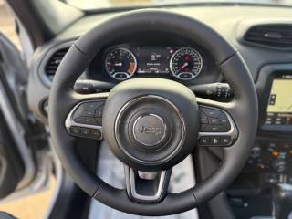 JEEP Renegade usata, con Tetto panorama