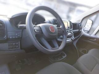 FIAT Ducato usata, con Servosterzo