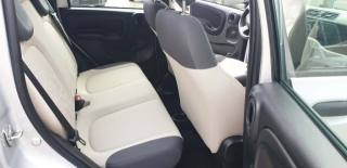 FIAT Panda usata, con Fendinebbia