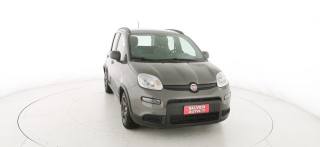 FIAT Panda usata 23