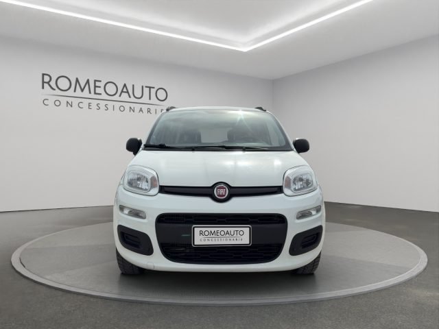 FIAT Panda usata 8