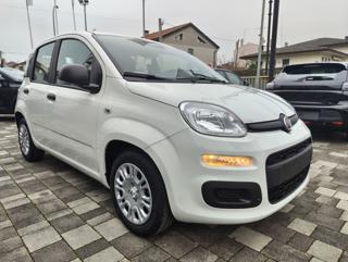 FIAT Panda usata, con Airbag