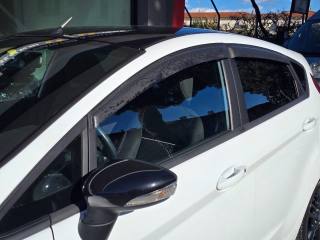 FORD Fiesta usata 76