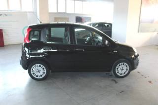 FIAT Panda usata, con Chiusura centralizzata