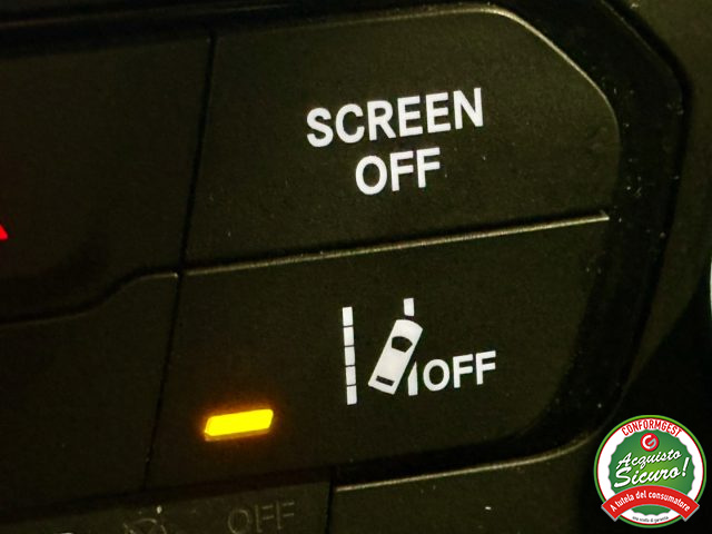 JEEP Renegade usata, con ESP