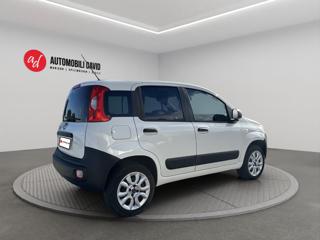 FIAT Panda usata, con Airbag Passeggero