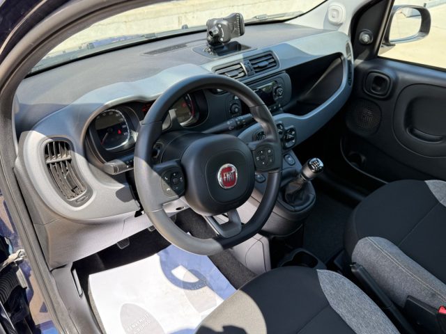 FIAT Panda usata 15