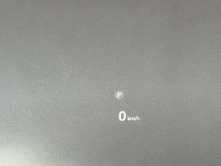 LAND ROVER Range Rover Sport usata 14