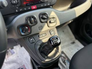 FIAT Panda usata 15