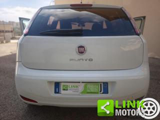 FIAT Punto usata 16