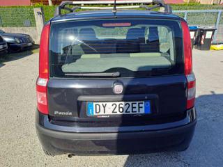 FIAT Panda usata, con Immobilizzatore elettronico