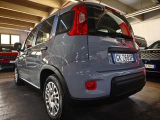 FIAT Panda usata, con Airbag testa