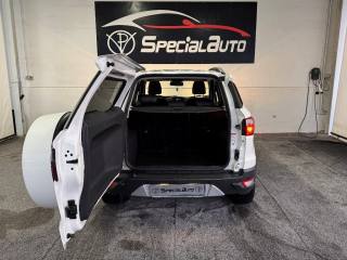 FORD EcoSport usata, con Airbag testa