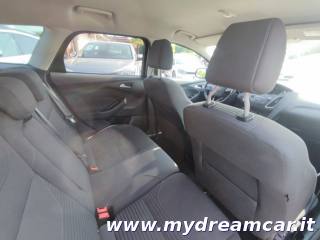 FORD Focus usata 15