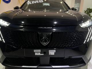 PEUGEOT 3008 usata, con Autoradio