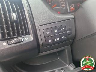 FIAT Ducato usata, con Vetri oscurati