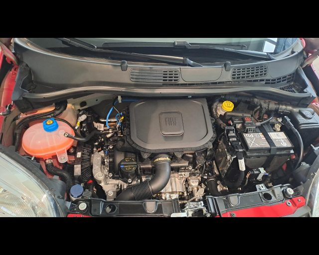 FIAT New Panda usata 14